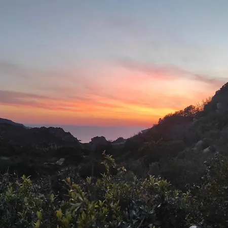 X 1 3 Susy 度假居