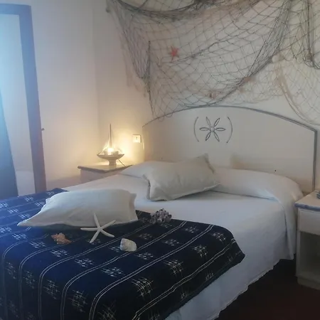 X 1 3 Susy 帕拉迪索海岸